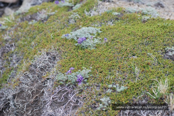 photo 869816
