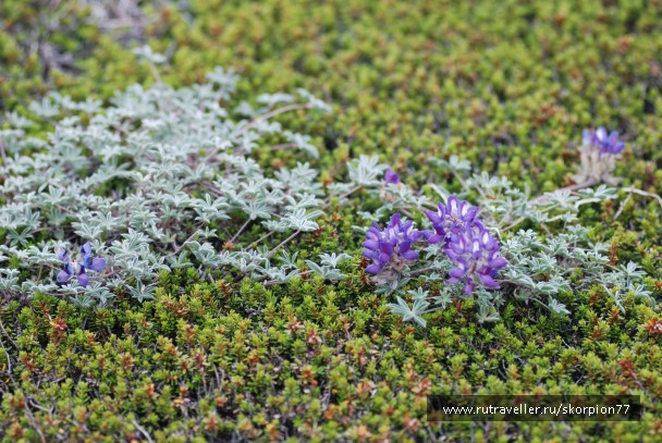 photo 869817