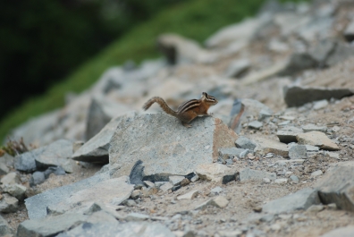 photo 869818