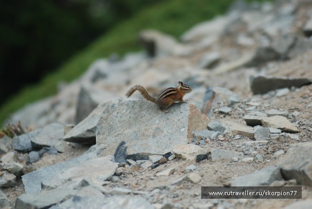 photo 869818
