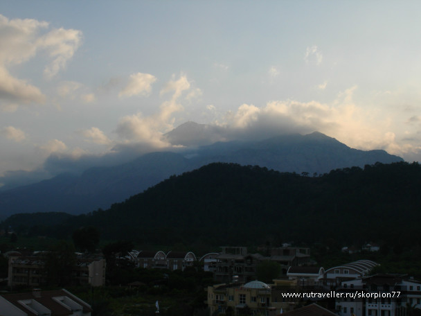 photo 980231