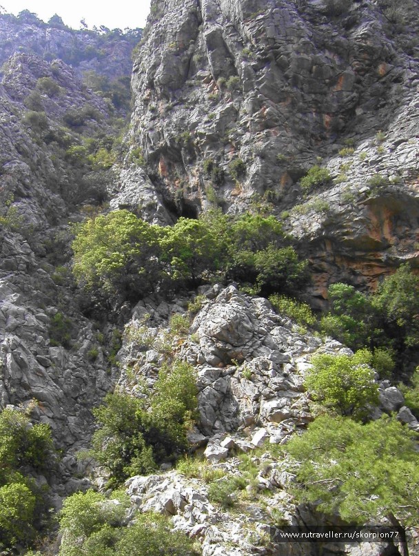 photo 834622