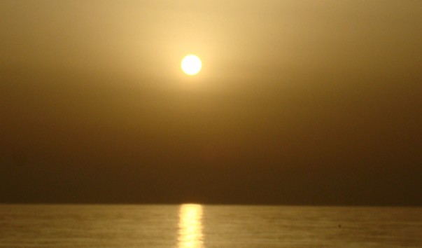 Амара 2008 240