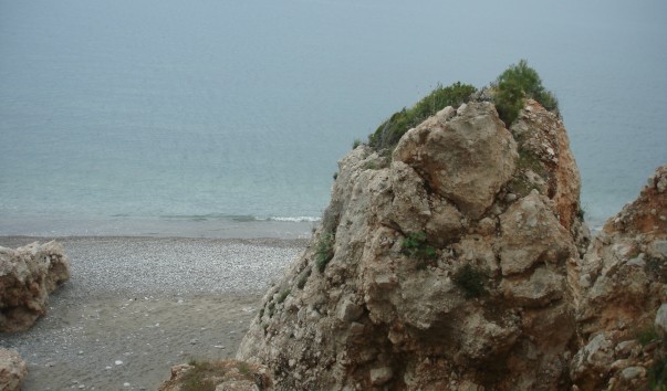 Амара 2008 165