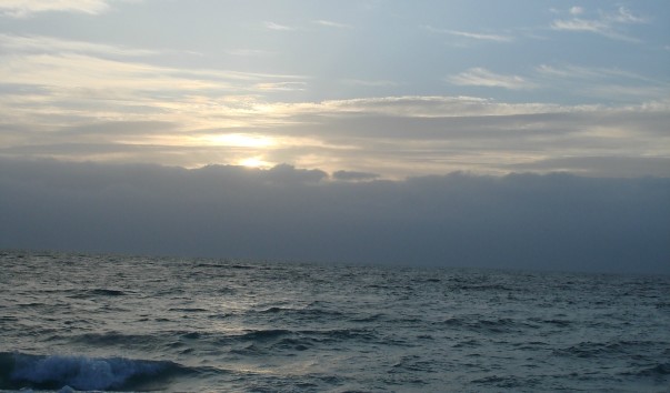 Амара 2008 105