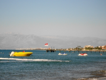 photo 954139