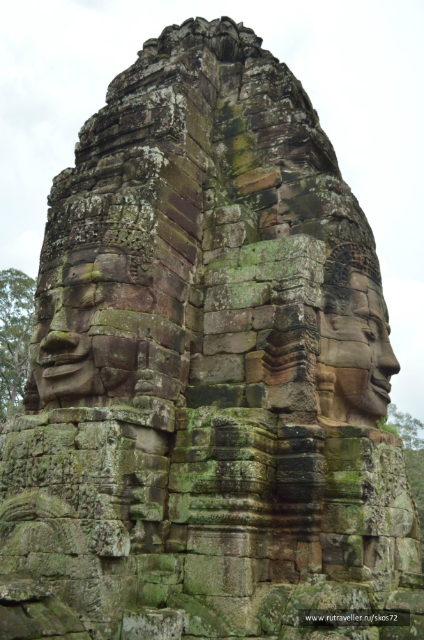 photo 247475