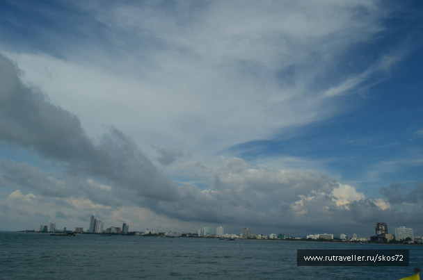 photo 247306