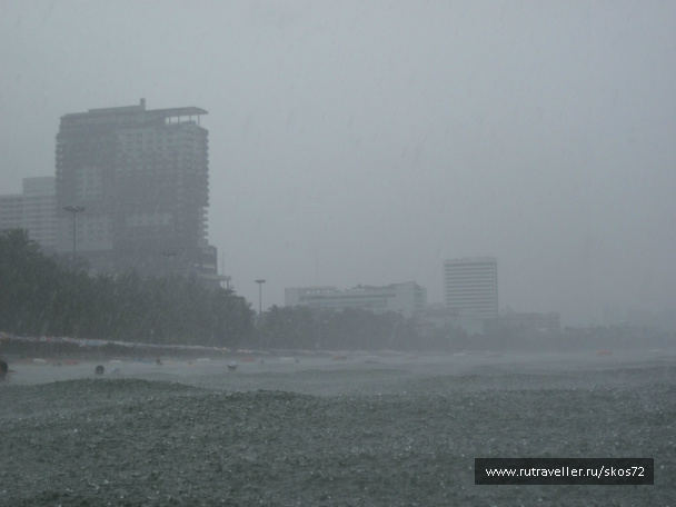 photo 247365
