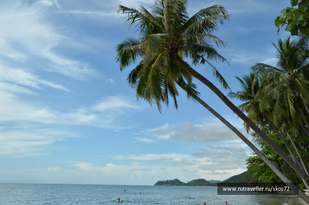 photo 247433