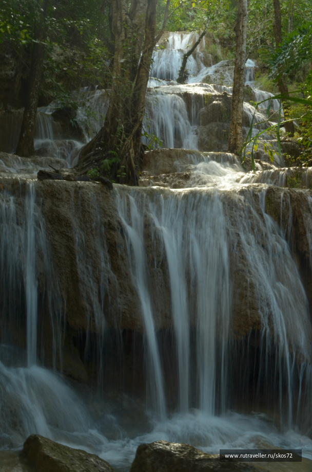photo 247483