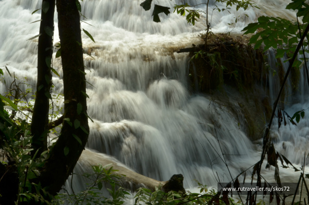 photo 247485