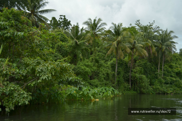 photo 247487