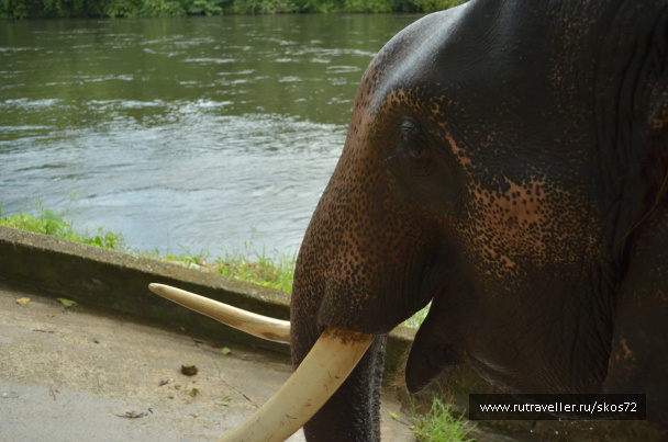 photo 247488