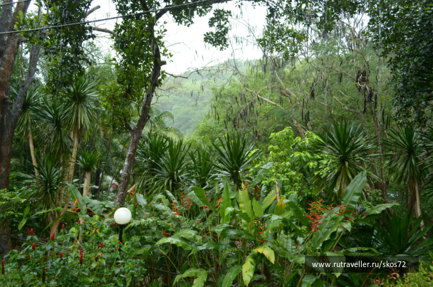 photo 247491