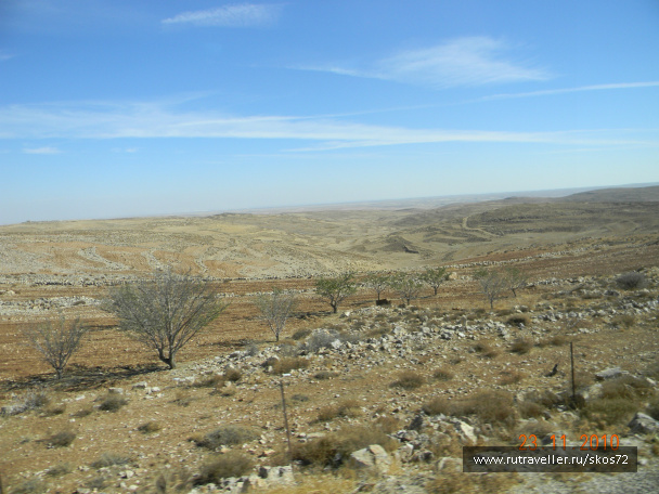 photo 247532