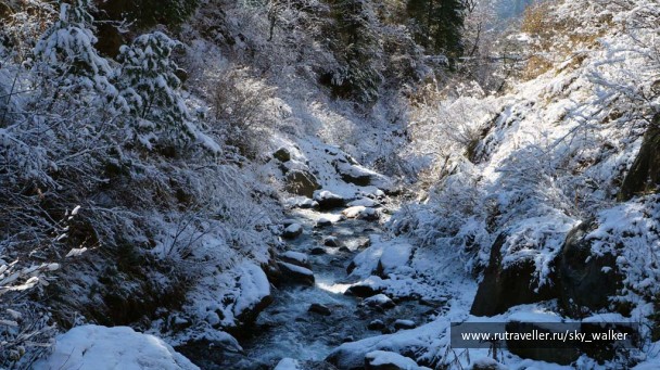 photo 214739