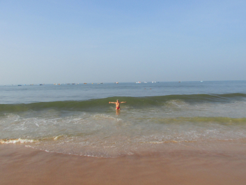photo 1233384