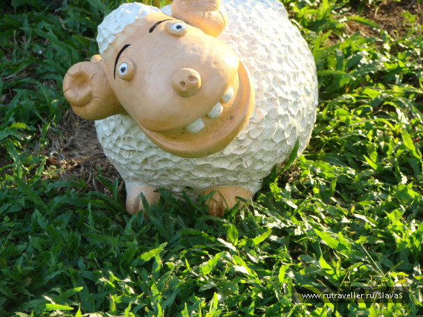photo 226295