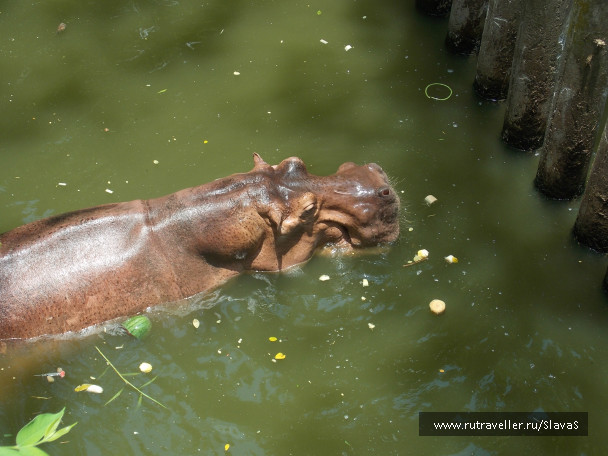 photo 403019