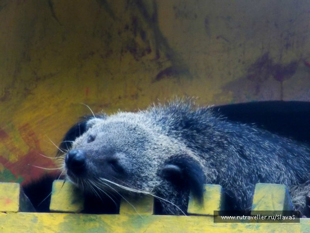 photo 403020