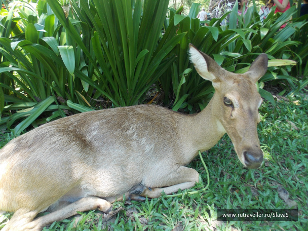 photo 403021