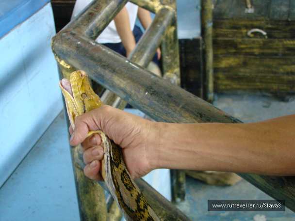 photo 45422