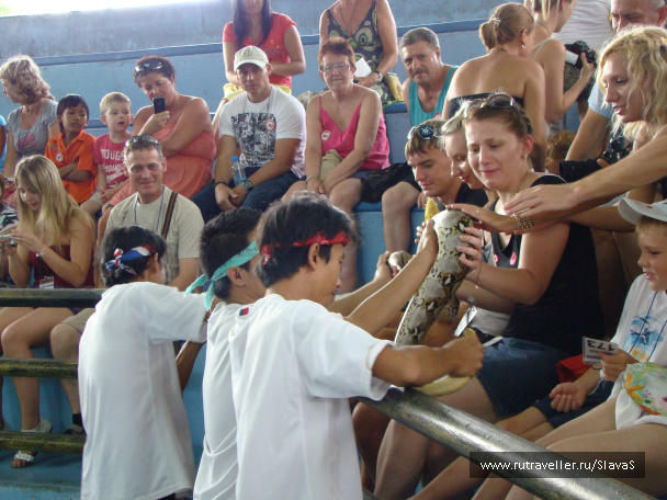 photo 45423