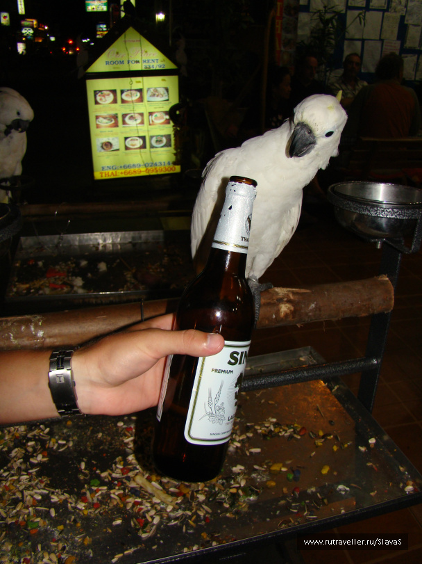 photo 45445