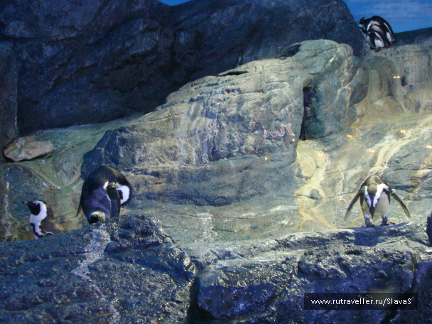 photo 46762
