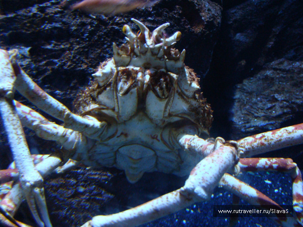 photo 46764