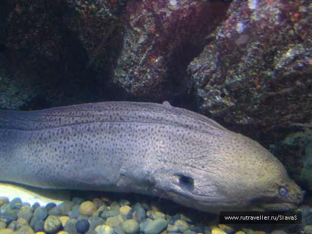 photo 46767