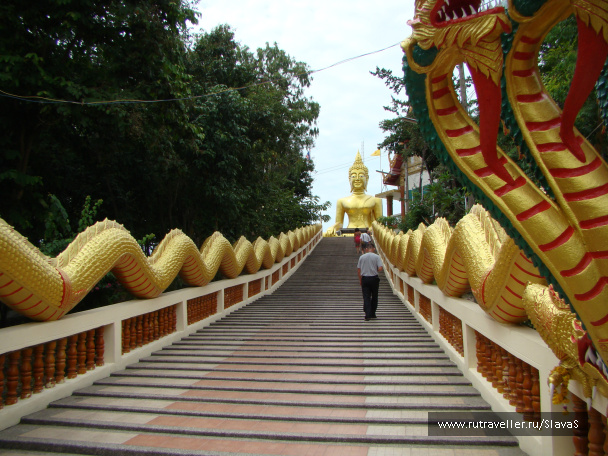 photo 49733