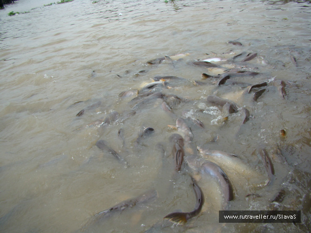 photo 56953