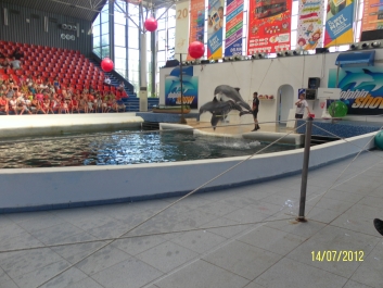 photo 461993