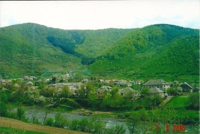 photo 458801