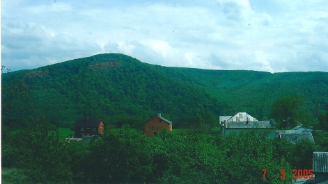photo 468906