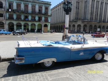photo 479131