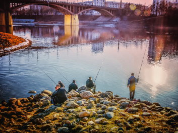 photo 1272555