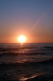 photo 359645