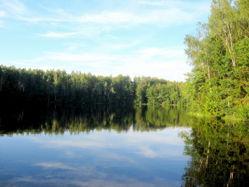 photo 127024