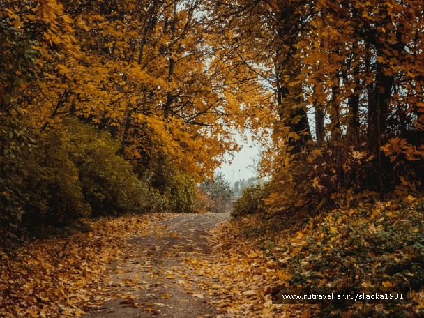 photo 910663