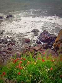 photo 768973