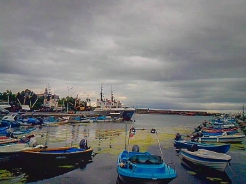 photo 768975