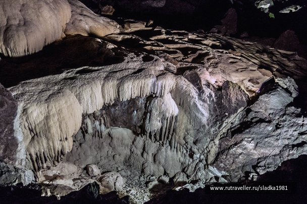 photo 1516515