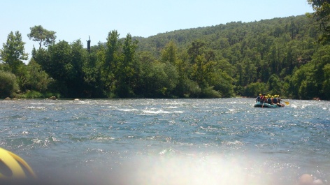 photo 446935