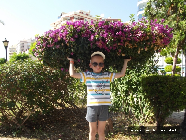 photo 811313