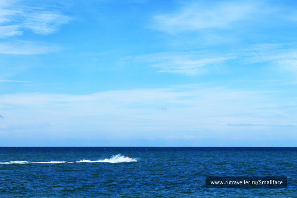 photo 243367