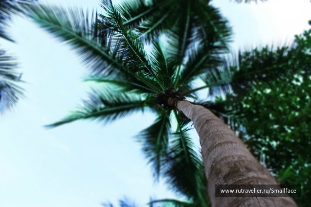 photo 279009