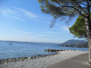 photo 990758